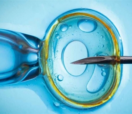 康希诺新冠疫苗的产地是哪家公司？