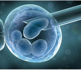 备孕期如何补钙