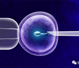 备孕期间可以爬山吗